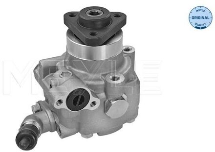 Volkswagen Servo pomp 1146310039