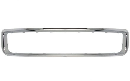 Volkswagen Sier- / Beschermingspaneel, radiateurgrille 5513009585920P