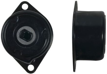 Volkswagen Spanrol, Poly V-riem T39195