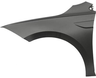 Volkswagen Spatbord 2209007