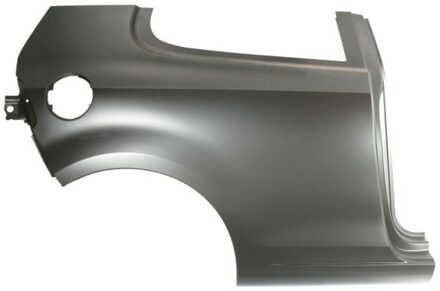 Volkswagen Spatbord 6504019534512P