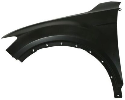 Volkswagen Spatbord 6504040395311P