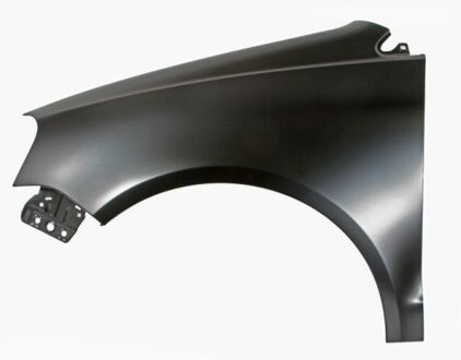 Volkswagen Spatbord 6504049506313P