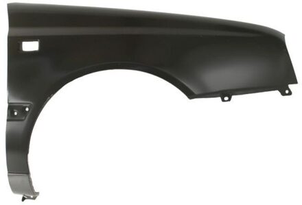 Volkswagen Spatbord 6504049522312P