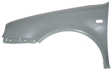 Volkswagen Spatbord 6504049523311P