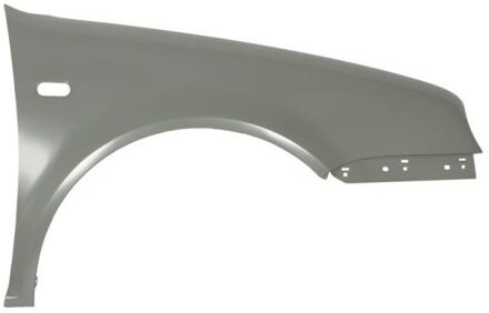 Volkswagen Spatbord 6504049523312P