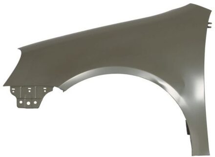 Volkswagen Spatbord 6504049524311P