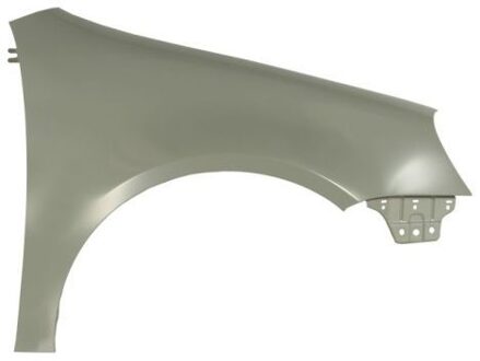 Volkswagen Spatbord 6504049524312P