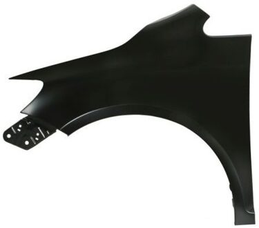 Volkswagen Spatbord 6504049533311P