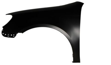 Volkswagen Spatbord 6504049534313P