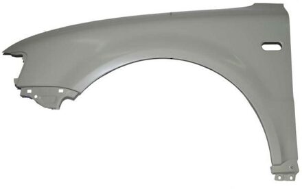 Volkswagen Spatbord 6504049539311P