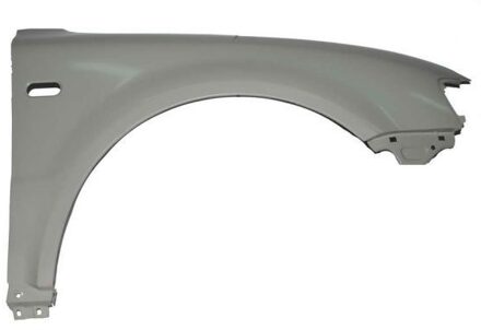 Volkswagen Spatbord 6504049539312P