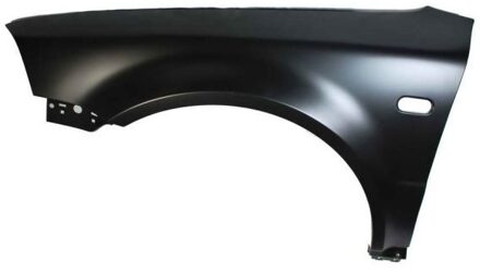 Volkswagen Spatbord 6504049539313P