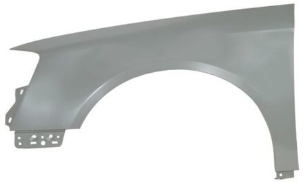 Volkswagen Spatbord 6504049540311P