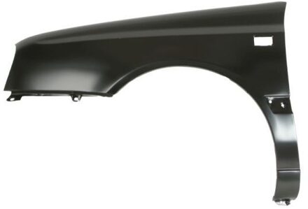 Volkswagen Spatbord 6504049542311P