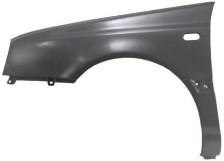 Volkswagen Spatbord 6504049542313P