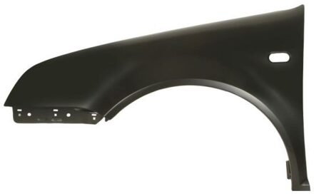 Volkswagen Spatbord 6504049543311P