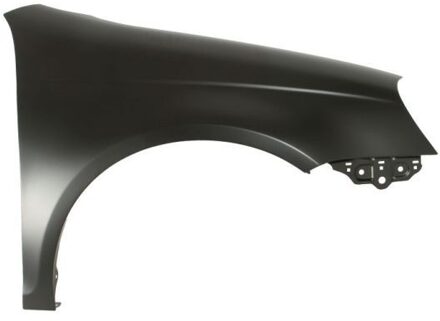 Volkswagen Spatbord 6504049544312P