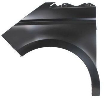 Volkswagen Spatbord 6504049570311P