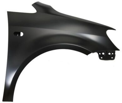 Volkswagen Spatbord 6504049571314P