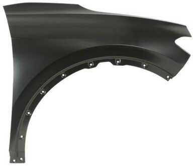 Volkswagen Spatbord 6504049584312P