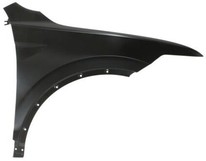 Volkswagen Spatbord 6504049588314P