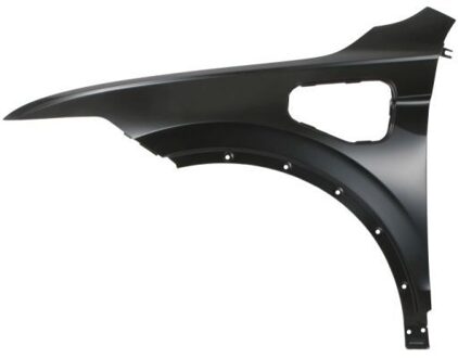 Volkswagen Spatbord 6504049588315P