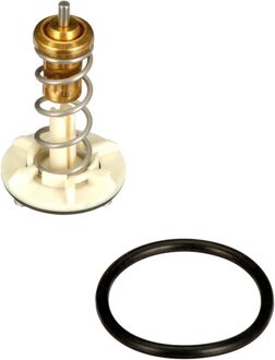 Volkswagen Thermostaat, koelvloeistof