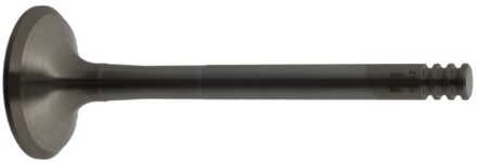 Volkswagen Uitlaatklep