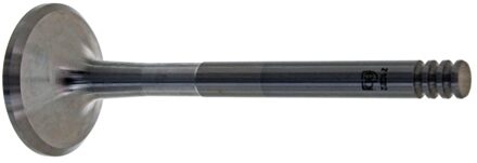 Volkswagen Uitlaatklep