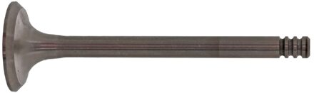 Volkswagen Uitlaatklep