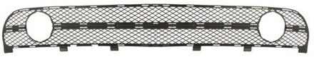 Volkswagen Ventilatiegrille, bumper 6502079514996P