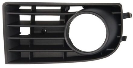 Volkswagen Ventilatiegrille, bumper 6502079524996P