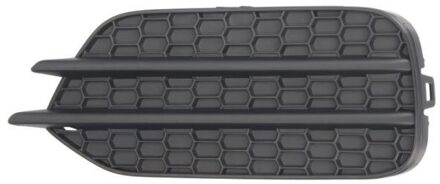 Volkswagen Ventilatiegrille, bumper 6502079548915DP