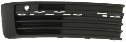 Volkswagen Ventilatiegrille, bumper 6502079569995MP