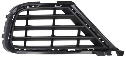 Volkswagen Ventilatiegrille, bumper 6502079586915PP
