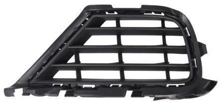 Volkswagen Ventilatiegrille, bumper 6502079586916PP
