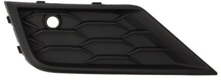 Volkswagen Ventilatiegrille, bumper 6502079588912PP