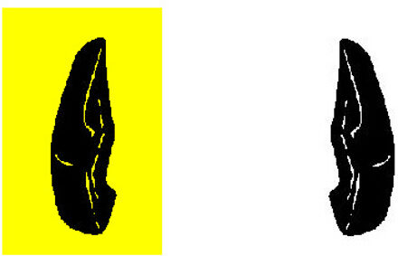 Volkswagen Voorbumperblad Hoek Recht 5870564