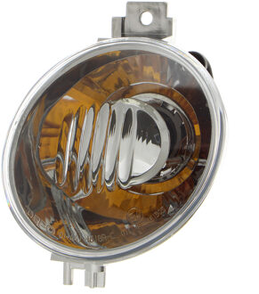 Volkswagen Voorknipperlicht Rechts