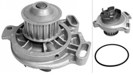 Volkswagen Waterpomp 538006710