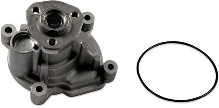 Volkswagen Waterpomp P573