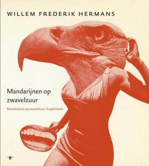 Volledige werken 16 - Boek Willem Frederik Hermans (9023482948)