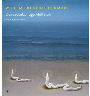 Volledige werken 17 - Boek Willem Frederik Hermans (9023442547)