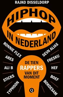 Volt Hiphop in Nederland - eBook Rajko Disseldorp (9021407914)