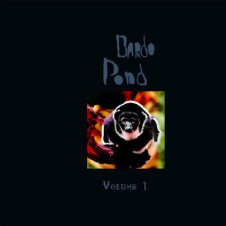 Volume 1 - Bardo Pond
