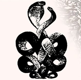 Volume 4 & 5 - Bardo Pond