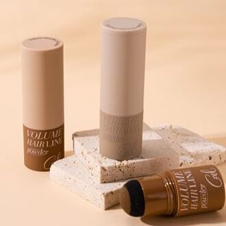 Volume Hairline Shadow Powder Stick - 2 Colors Light brown - 1.7g