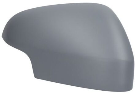 Volvo Afdekking, buitenspiegel 6103241523311P