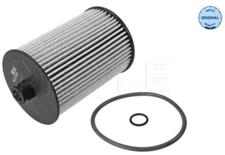 Volvo Brandstoffilter 5143230008